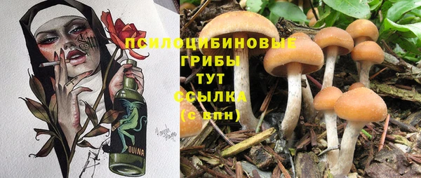 PSILOCYBIN Гусь-Хрустальный
