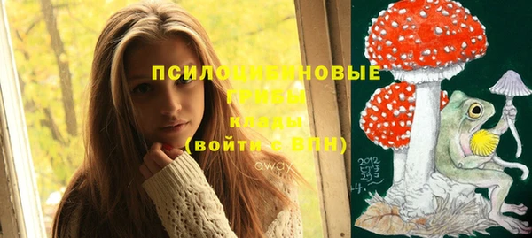 mdma Гусиноозёрск