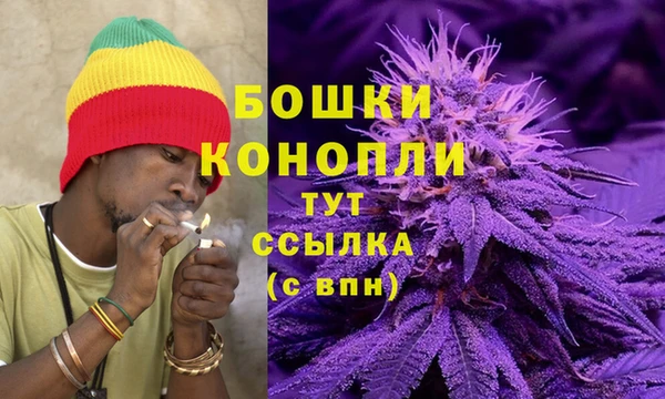 PSILOCYBIN Гусь-Хрустальный