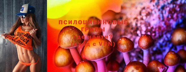 PSILOCYBIN Гусь-Хрустальный