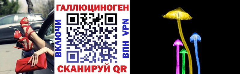 Псилоцибиновые грибы Psilocybe  Купить где  Советская Гавань 